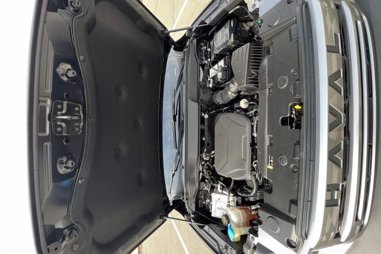 Used Haval DARGO 2024 1.5T DCT Border Collie Edition