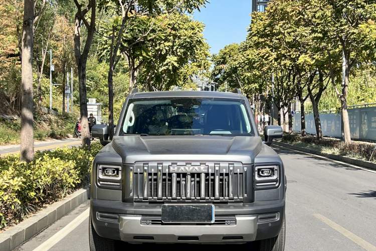 Used Haval Raptor 2025 2.0T 4WD Ultra