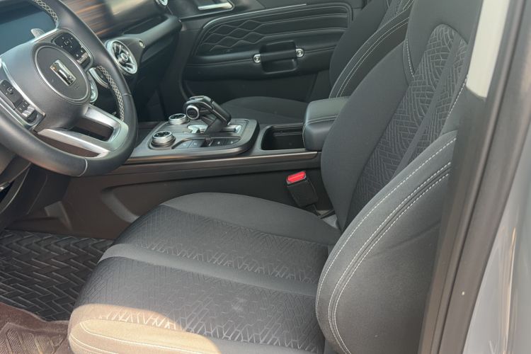 Used Tank 300 2021 Explorer 2.0T Off-Road Edition Left Front Seat