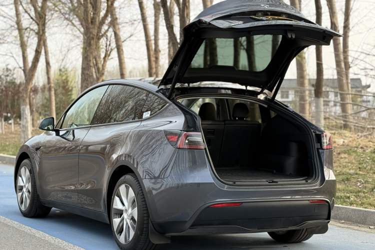 Used Tesla Model Y 2022 Revised Version Rear-Wheel Drive Exterior 6