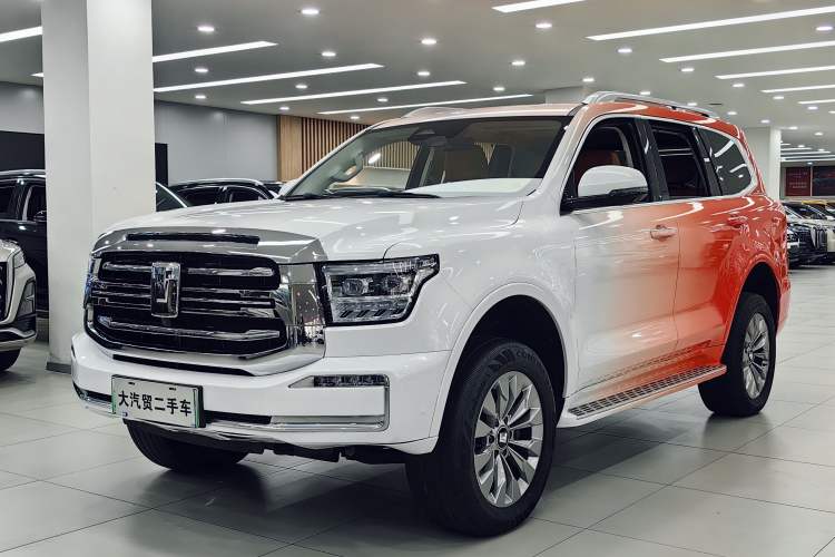 Used Tank 500 New Energy The 2025 Hi4-Z is definitely a hit.