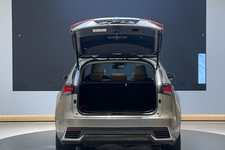 Used Lexus NX 2020 300h All-Wheel Drive FENGZHI Version China VI Standard Exterior 4