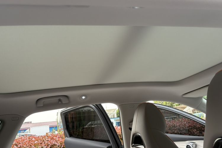 Used BYD Yuan PLUS 2023 Champion Edition 510KM Excellence Model Headliner