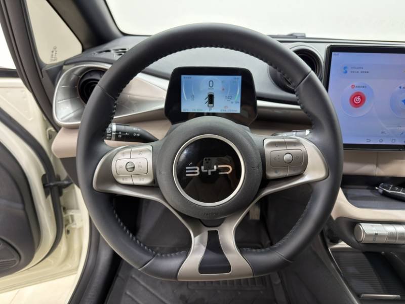 Used BYD Dolphin 2025 420km Free Edition — 10