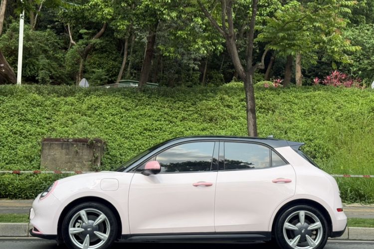 Used ORA Good Cat 2022 400km Standard Range Premium Version Lithium Iron Phosphate Exterior 5