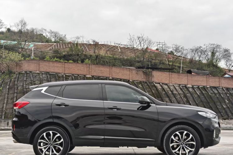 Used Wey VV6 2020 2.0T Two-Wheel Drive Smart Enjoyment+
