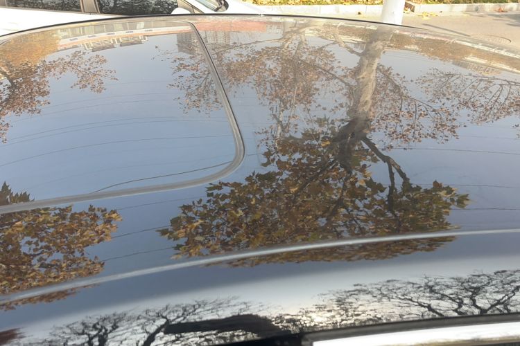 Used Honda Accord 2025 Sport Series 260TURBO Luxury Edition Roof