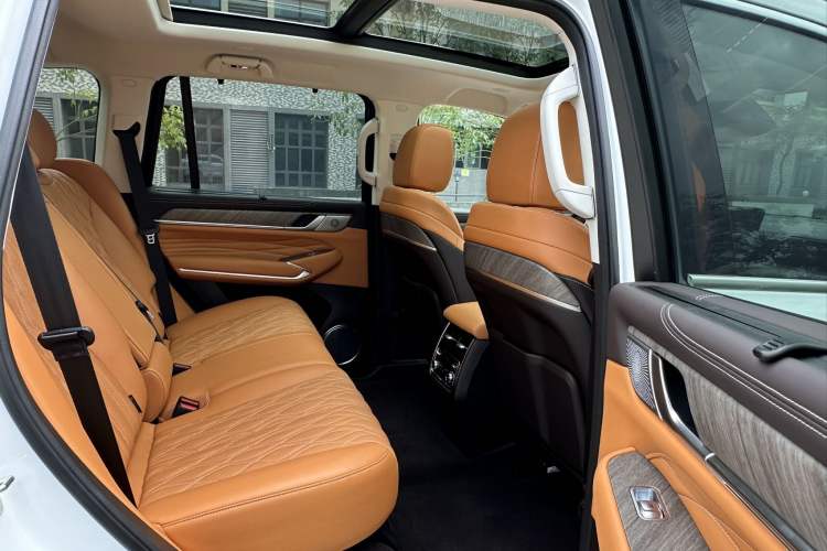 Used Tank 500 New Energy 2025 Hi4-Z Headliner