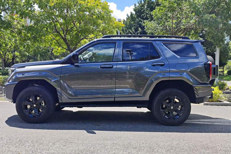 Used Tank 400 2025 2.0T Gasoline Version
