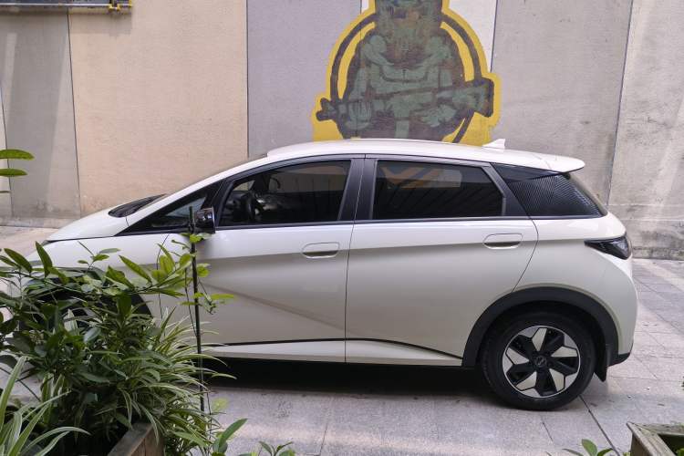 Used BYD Dolphin 2024 Honor Edition 420km Freedom Version Exterior 5