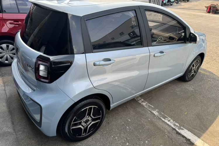 Used SOL E10X 2022 Flower Fairy Design Four-Leaf Clover