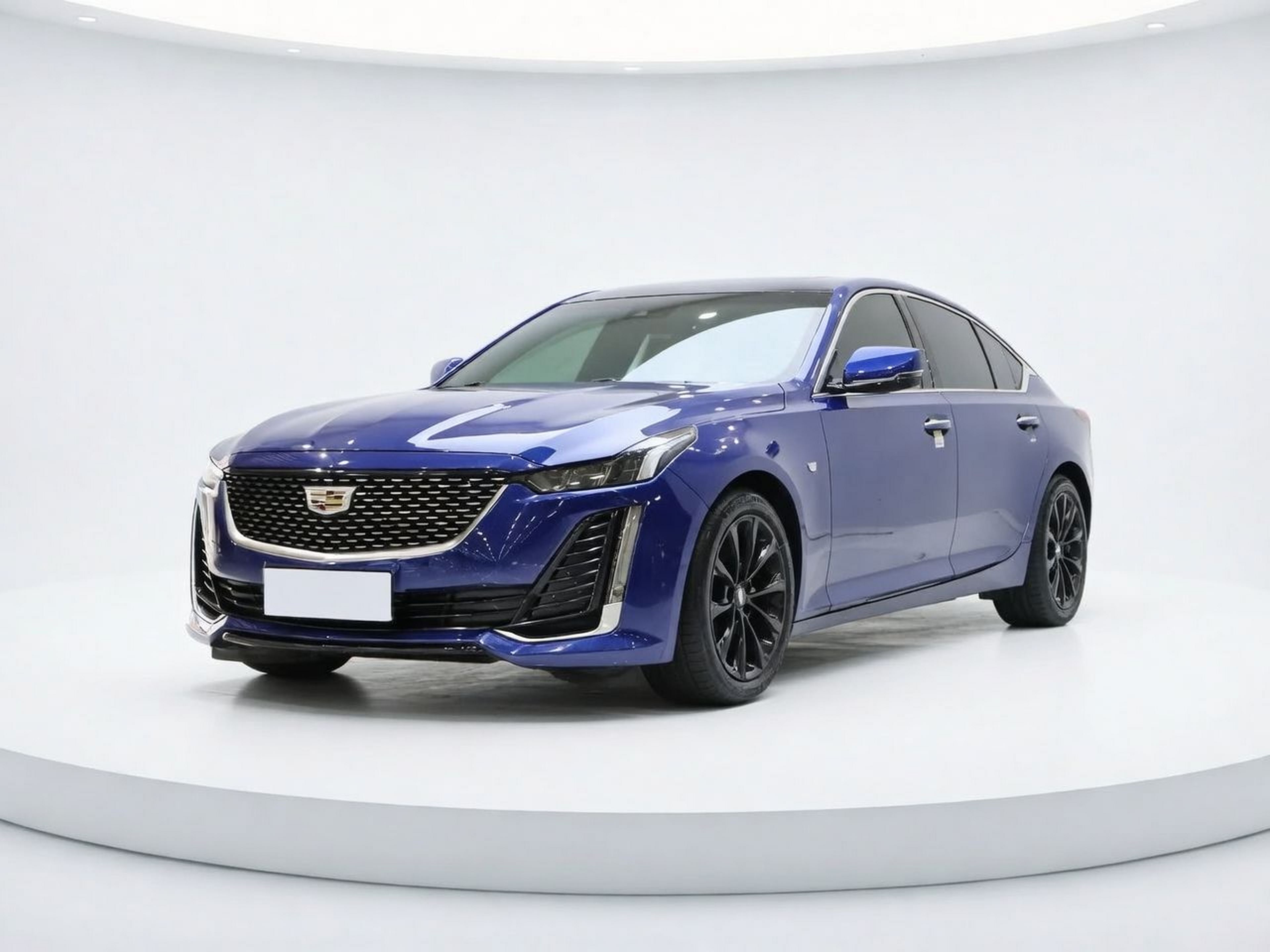 Under Front Bumper
