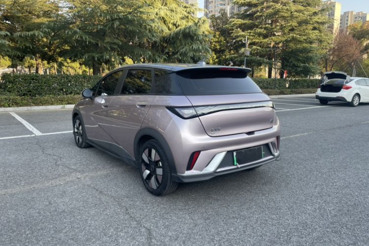 Used BYD Dolphin 2021 401km Knight Edition