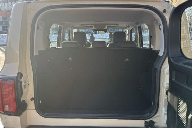 Used Tank 300 2025 2.4T Diesel Version
