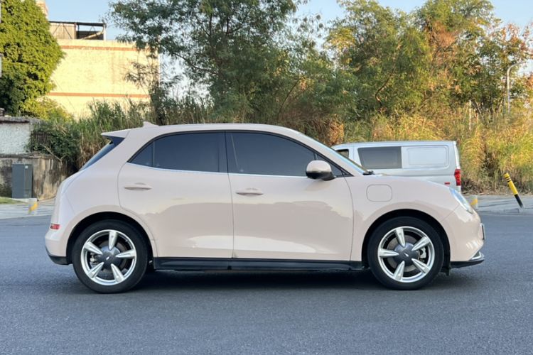 Used ORA Good Cat 2023 401 km Standard Range Luxury Version Lithium Iron Phosphate
