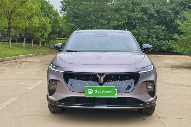 Used VOYAH COURAGE 2024 Four-Wheel Drive Global Edition
