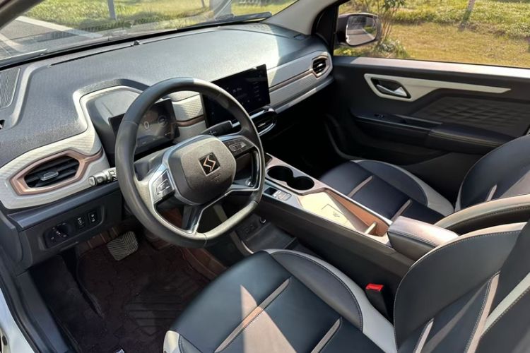 Used SOL E10X 2022 Flower Fairy Design Four-Leaf Clover