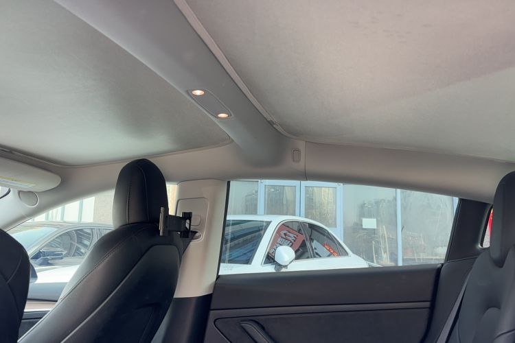 Used Tesla Model 3 2021 Performance High-Performance All-Wheel-Drive Version 3D6