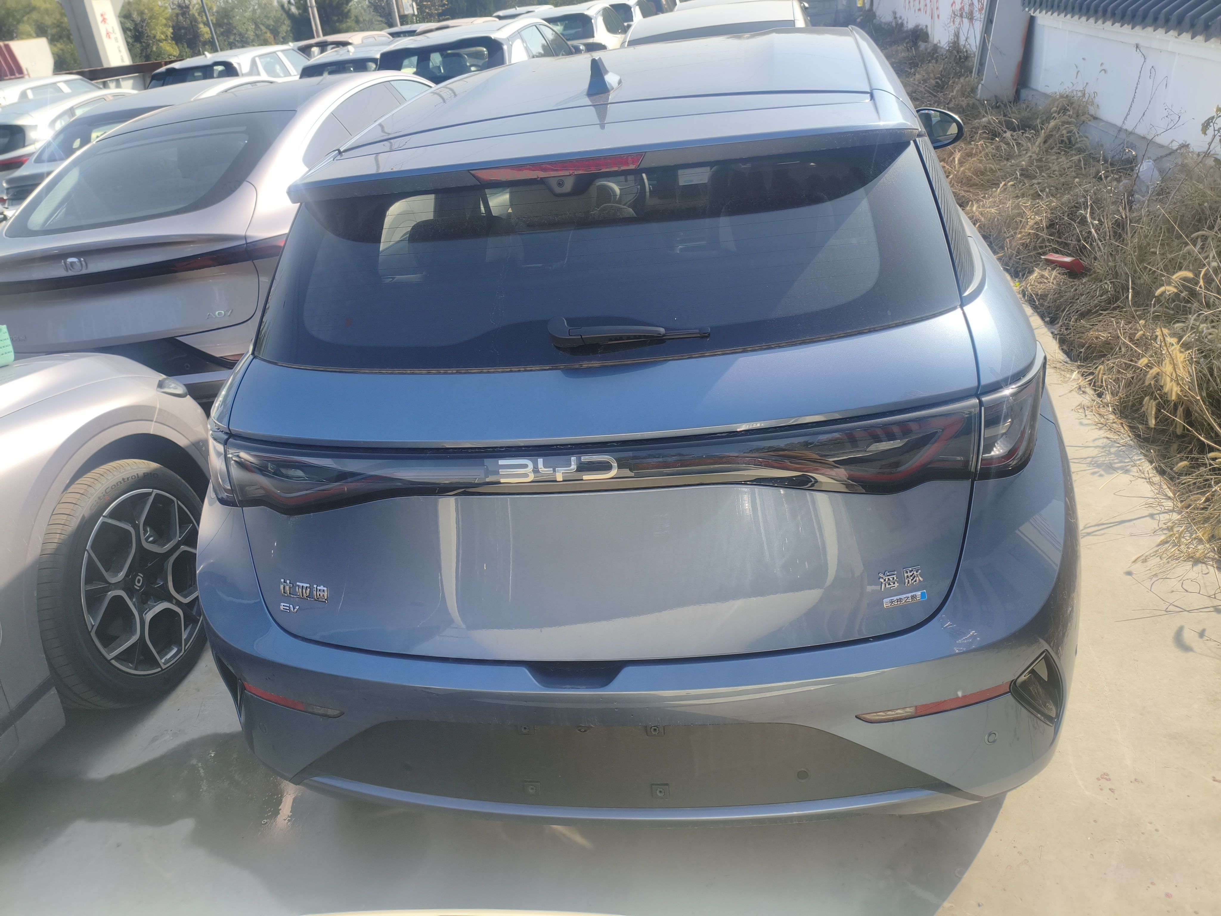 BYD Dolphin 2025 Smart Drive Version 420 km Freedom Edition — снимка 5