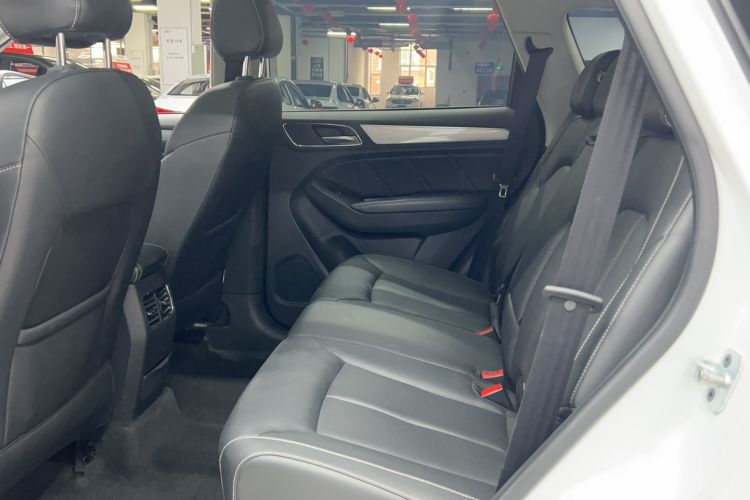 Used Roewe RX5 2018 30T Two-Wheel Drive Automatic Internet Smart Edition Left Rear Seat