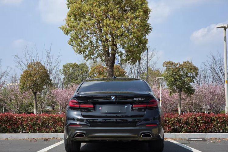 Used BMW 5 Series 2020 530Li Leading Model M Sport Package Exterior 3