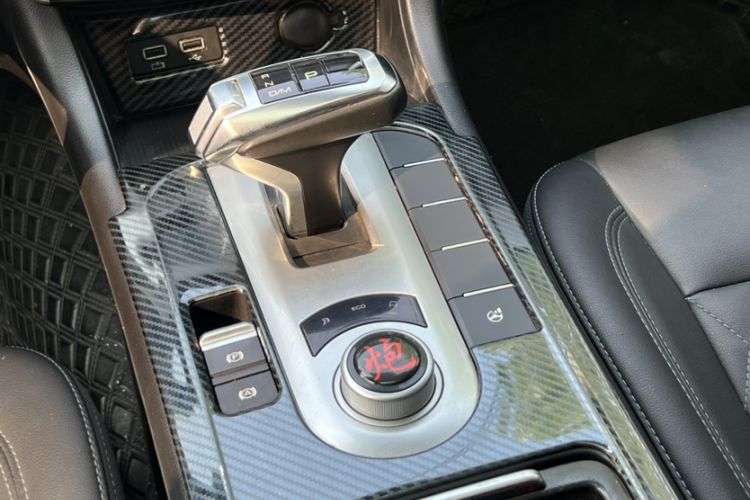 Used Great Wall Poer 2019 2.0T Automatic Gasoline Two-Wheel Drive Comfort Edition GW4C20B
