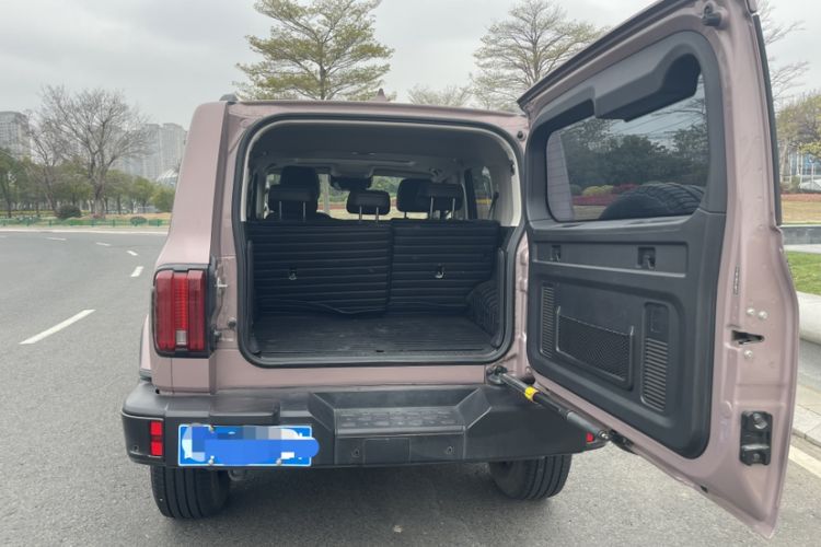 Used Tank 300 2021 City Edition 2.0T—Truly Stylish