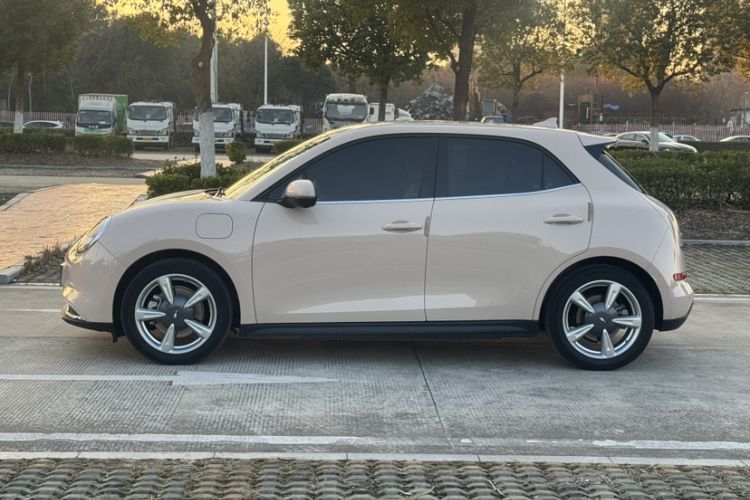 Used ORA Good Cat 2023 401 km Standard Range Luxury Version Lithium Iron Phosphate
