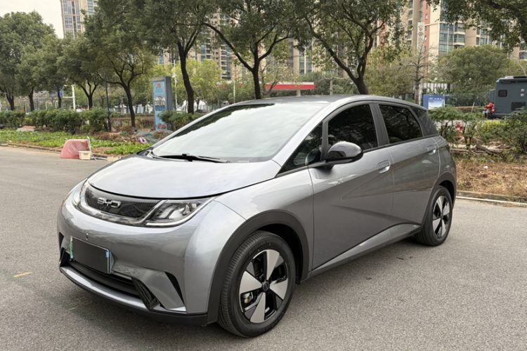 Used BYD Dolphin 2023 420 km Free Version