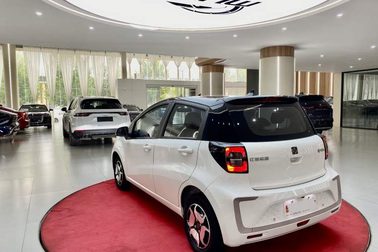 Used SOL E10X 2021 302 km Range Luxury Version 31.4 kWh