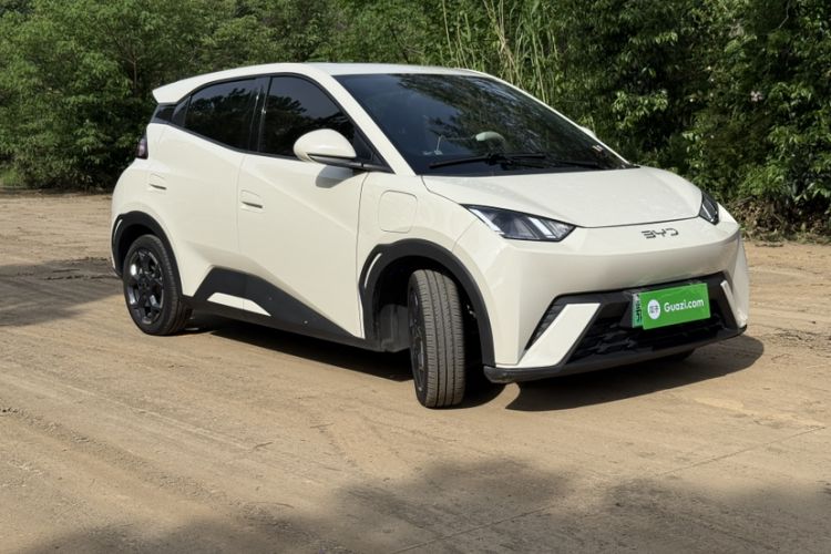 Used BYD Seagull 2023 Free Edition
