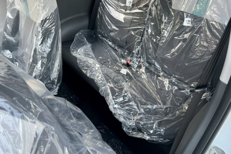 Used Qiyuan Lumin 2025 205 km Xiangqin Version
