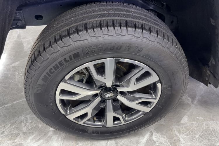 Used Tank 300 2024 2.0T Crosser Exterior 5