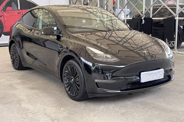 Used Tesla Model Y 2021 Standard Range Rear-Wheel Drive Version
