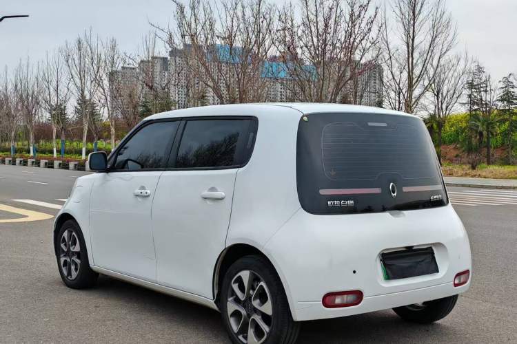 Used ORA White Cat 2020 305 km Luxury Version Exterior 9