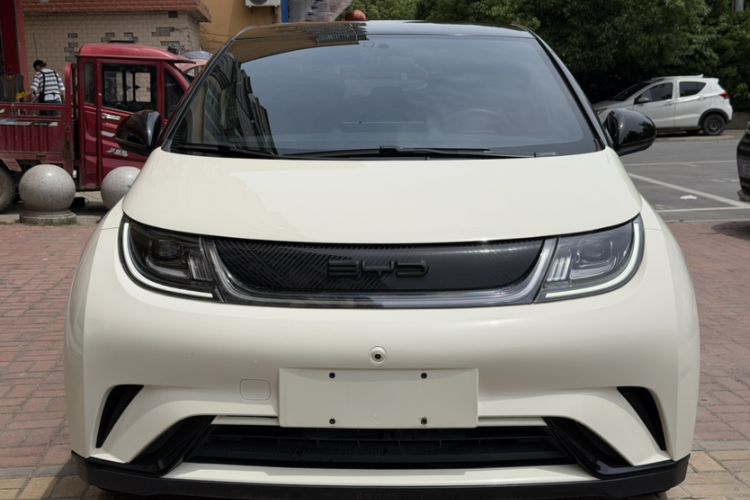 Used BYD Dolphin 2023 420 km Free Version

