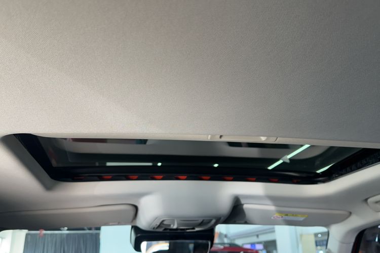 Used Tank 300 2024 2.0T Conqueror