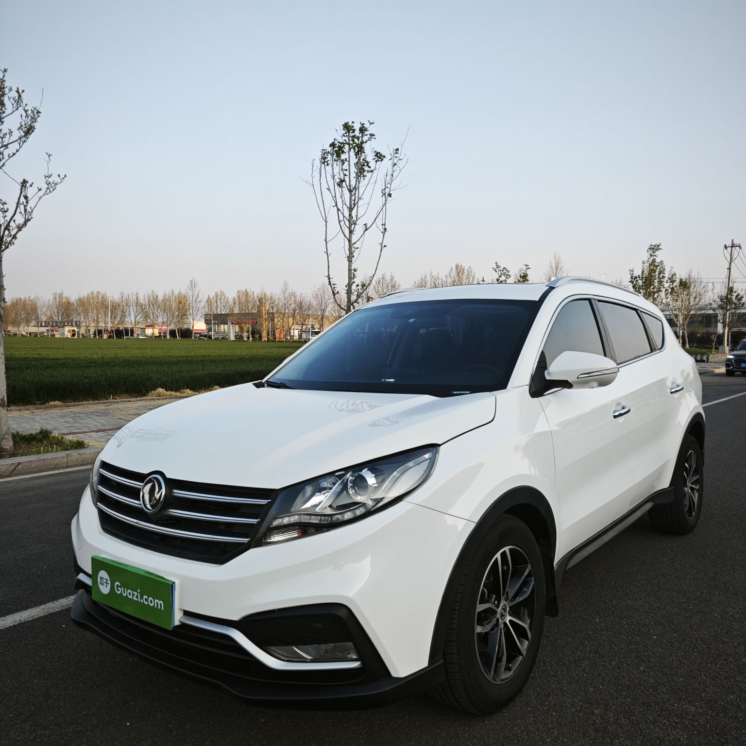 Parte inferior delantera