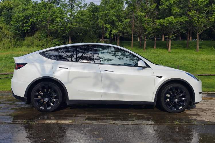Used Tesla Model Y 2022 Rear-Wheel-Drive Version