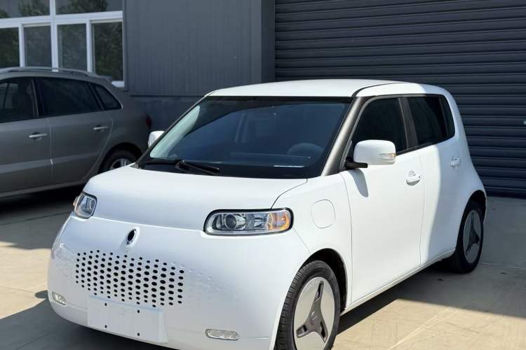 Used ORA White Cat 2020 360 km Luxury Version