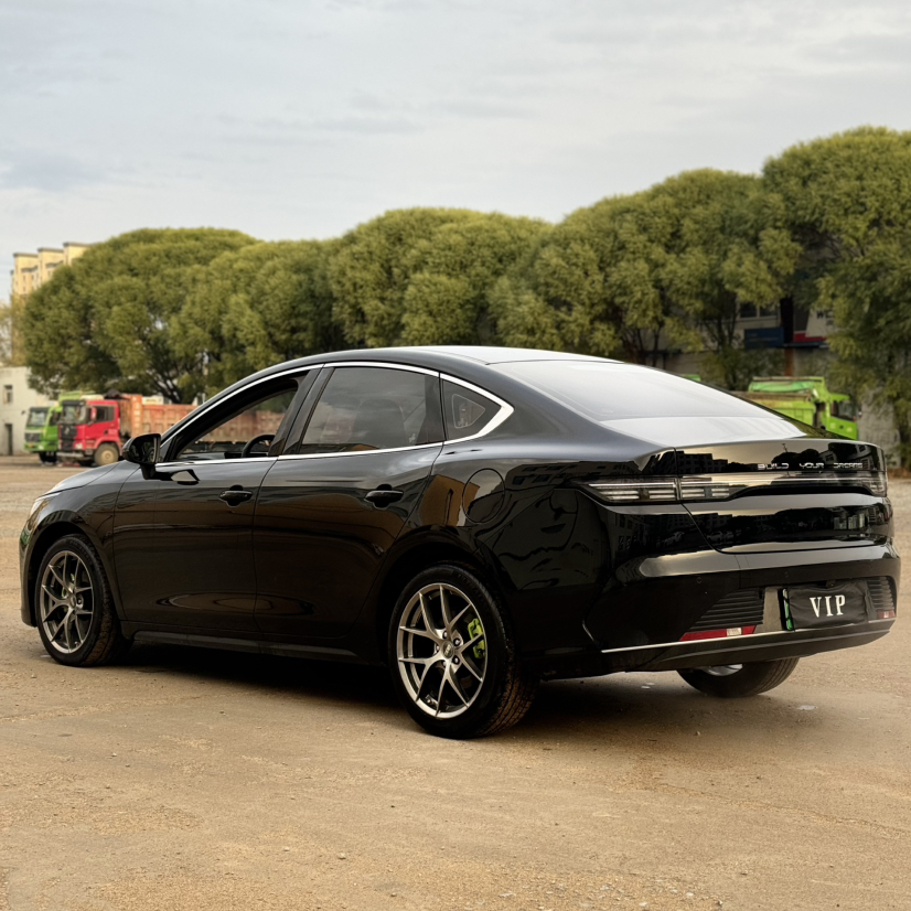 BYD Destroyer 05 2024 HONOR Edition DM-i 55KM Luxury Model — снимка 3