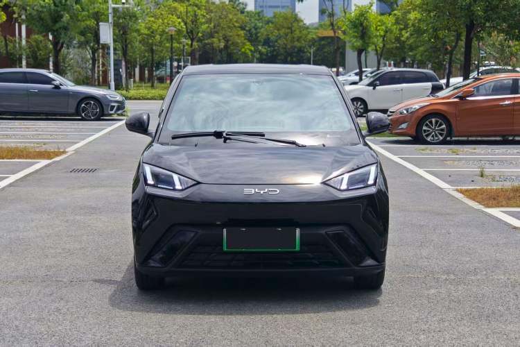 Used BYD Seagull 2025 305 km Free Version
