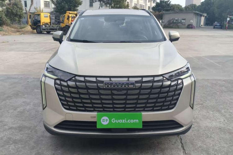 Used Haval H6 2024 1.5T Two-Wheel Drive Pro
