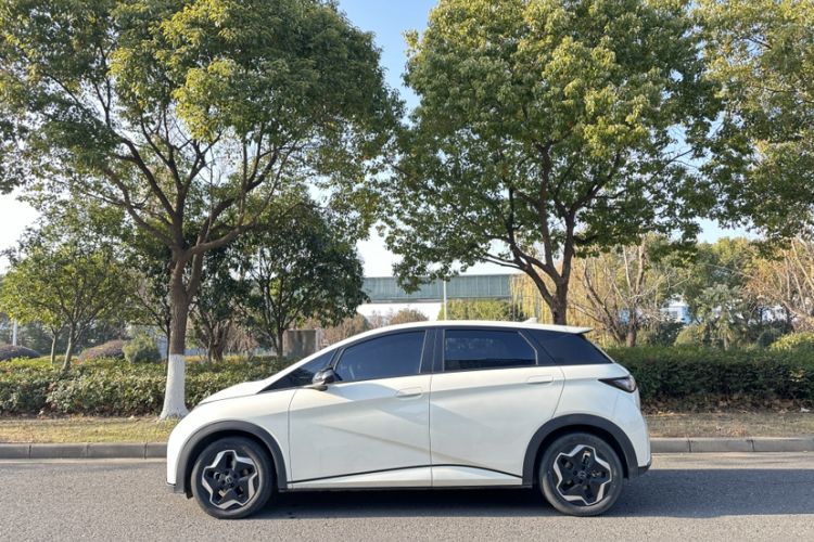 Used BYD Dolphin 2021 405 km Fashion Edition
