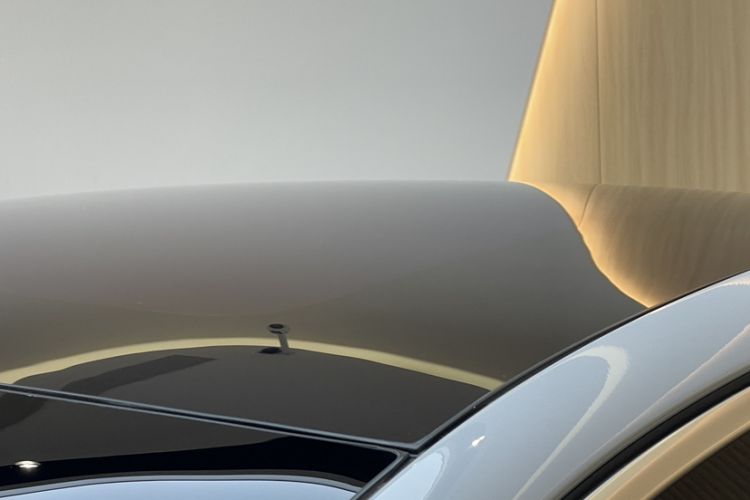 Used Nio EC6 2020 475 km Performance Version