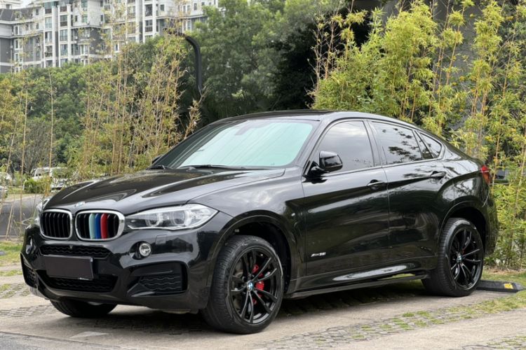 Used BMW X6 2019 xDrive35i M Sport Package