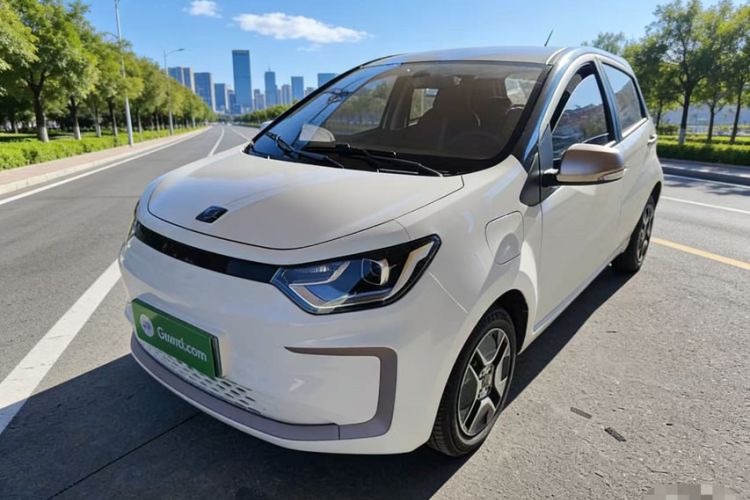 Used SOL E10X 2022 Flower Fairy Design Four-Leaf Clover