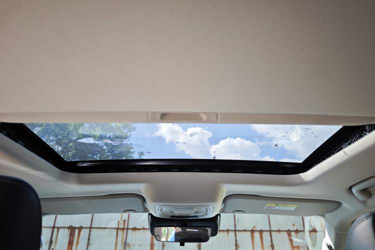 Used Tank 300 2021 2.0T Monet Tribute Limited Edition