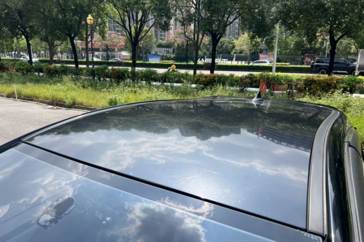 Used SOL E10X 2022 Flower Fairy Style Baby's Breath