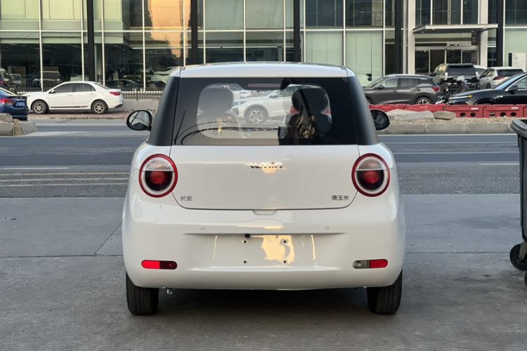 Used Qiyuan Lumin 2025 205 km Xiangqin Version
